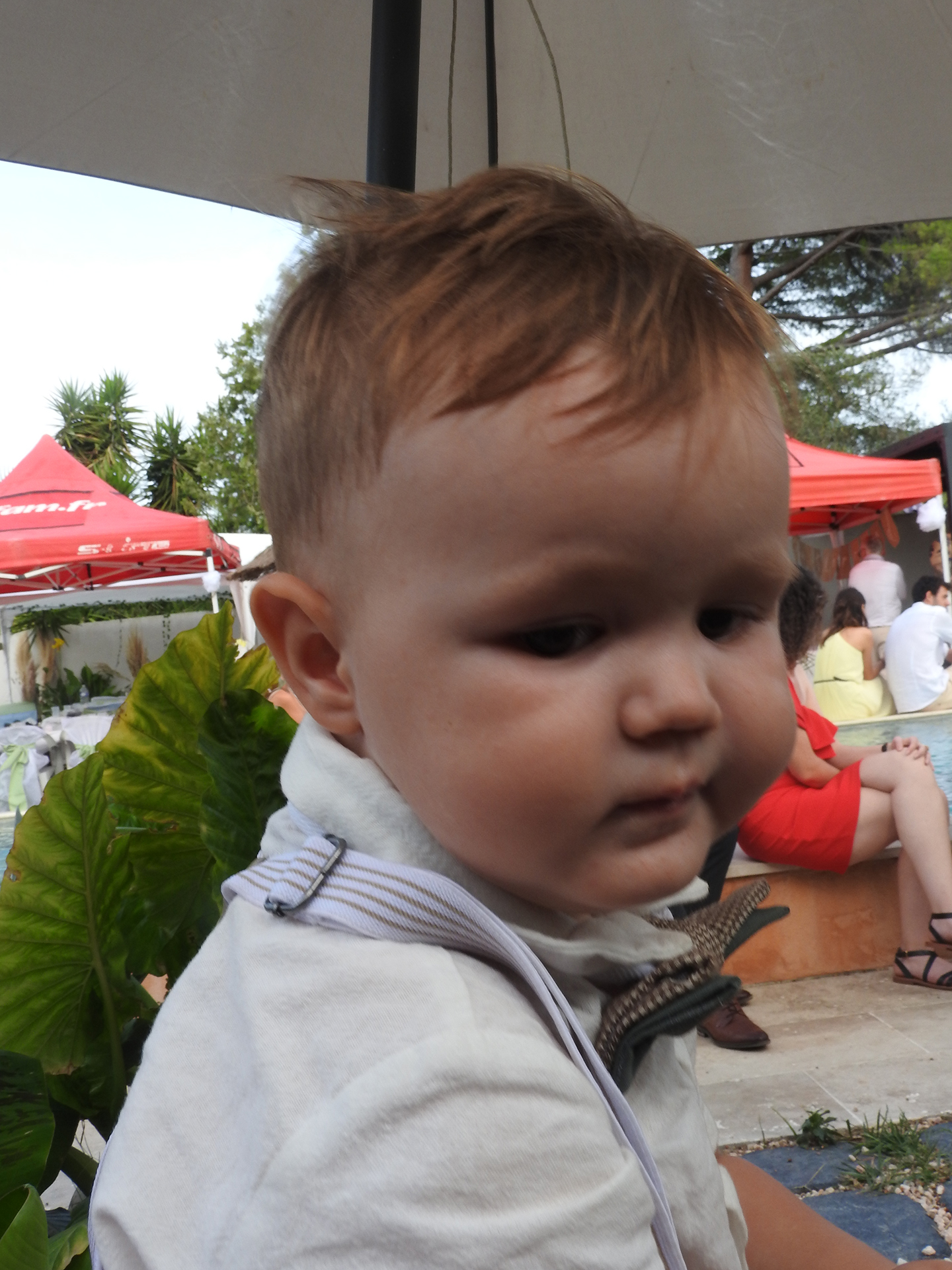 Image 329